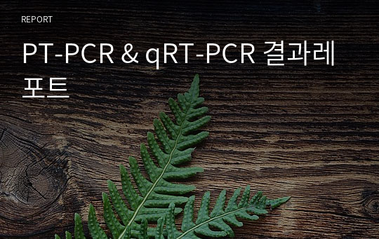 PT-PCR &amp; qRT-PCR 결과레포트