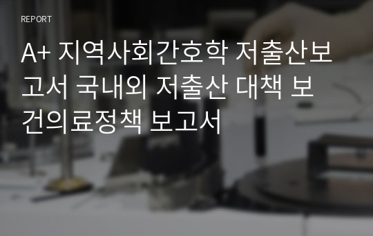 A+ 지역사회간호학 저출산보고서 국내외 저출산 대책 보건의료정책 보고서