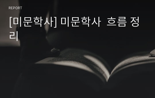 [미문학사] 미문학사  흐름 정리