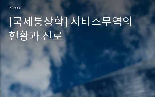 [국제통상학] 서비스무역의 현황과 진로