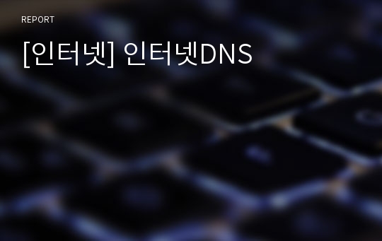 [인터넷] 인터넷DNS