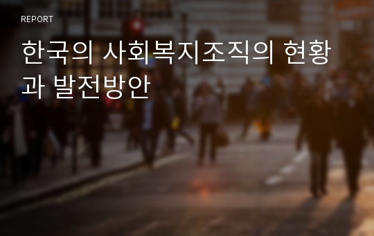한국의 사회복지조직의 현황과 발전방안
