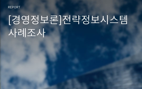 [경영정보론]전략정보시스템 사례조사