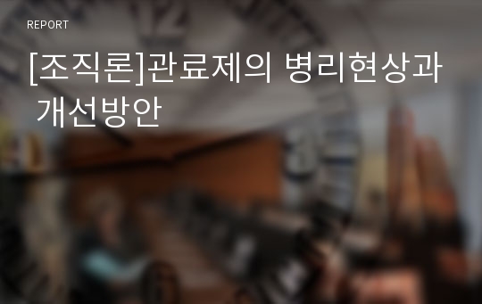 [조직론]관료제의 병리현상과 개선방안