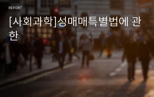 [사회과학]성매매특별법에 관한