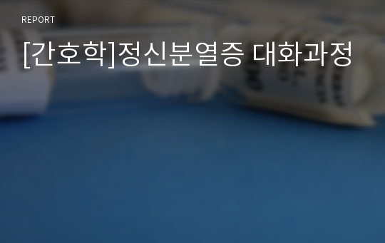 [간호학]정신분열증 대화과정