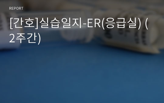 [간호]실습일지-ER(응급실) (2주간)