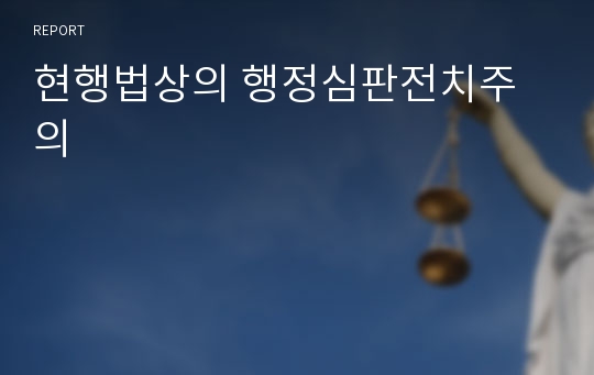 현행법상의 행정심판전치주의