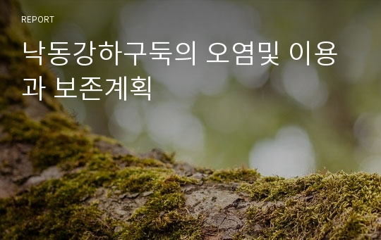 낙동강하구둑의 오염및 이용과 보존계획