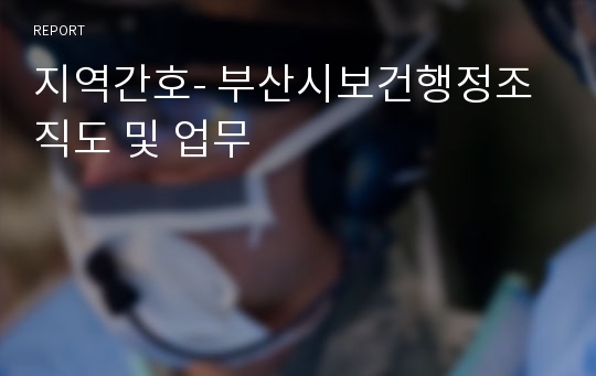 지역간호- 부산시보건행정조직도 및 업무