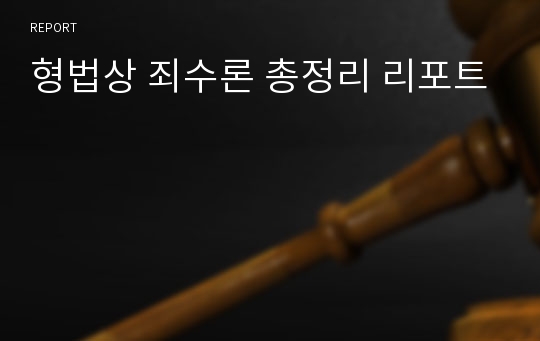 형법상 죄수론 총정리 리포트