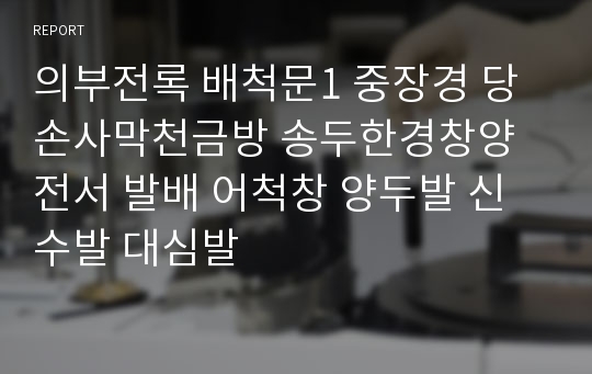 의부전록 배척문1 중장경 당손사막천금방 송두한경창양전서 발배 어척창 양두발 신수발 대심발