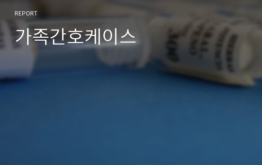 가족간호케이스