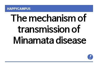 The mechanism of transmission of Minamata disease