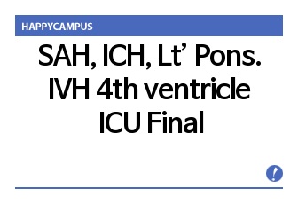 SAH, ICH, Lt’ Pons. IVH 4th ventricle ICU 파이날