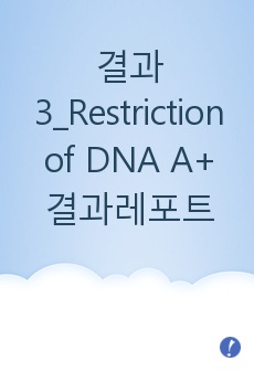 결과3_Restriction of DNA A+ 결과레포트
