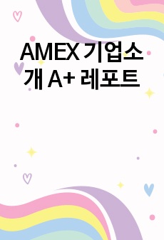 AMEX 기업소개 A+ 레포트