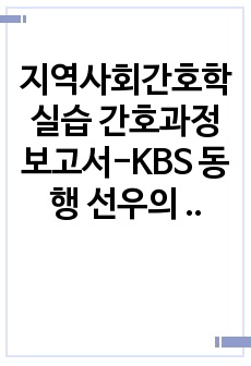 지역사회간호학실습 간호과정 보고서-KBS 동행 선우의 등굣길