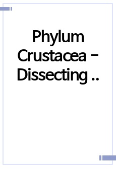 Phylum Crustacea - Dissecting and examination of specimens 실험보고서