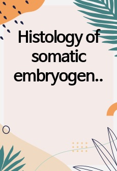 Histology of somatic embryogenesis in rice (Oryza sativa cv. 5272) 논문 번역