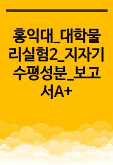홍익대_대학물리실험2_지자기수평성분_보고서A+
