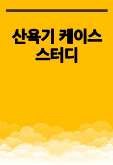 자료 표지