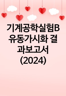 기계공학실험B 유동가시화 결과보고서 (2024)